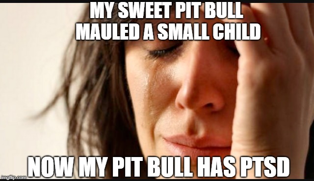 Pit Problems | MY SWEET PIT BULL MAULED A SMALL CHILD; NOW MY PIT BULL HAS PTSD | image tagged in 1st world reverse,pit bull,ptsd | made w/ Imgflip meme maker
