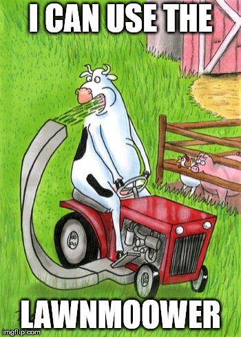 What did the cow say when it drove the tractor? | I CAN USE THE; LAWNMOOWER | image tagged in lawnmower,lawn,memes,cow,cows,bad pun cow | made w/ Imgflip meme maker