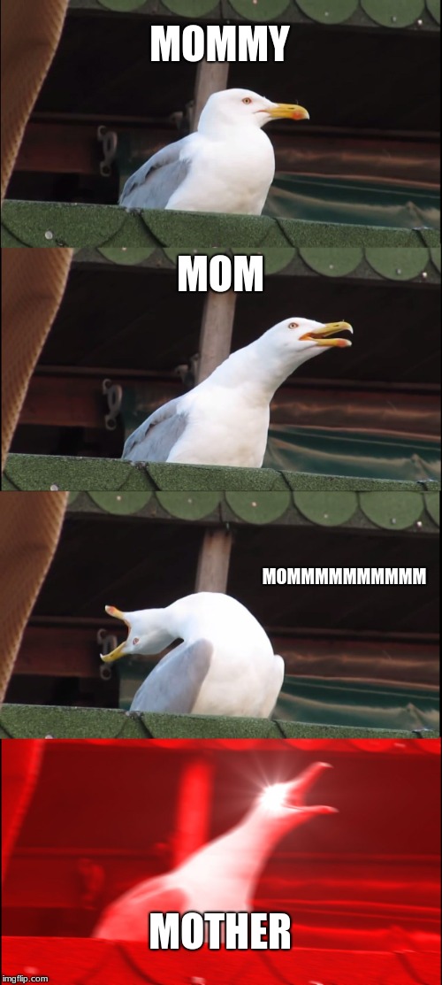 When you need her attention | MOMMY; MOM; MOMMMMMMMMMM; MOTHER | image tagged in memes,inhaling seagull,mom | made w/ Imgflip meme maker