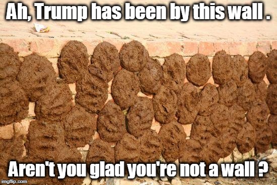 You can always leave the cult. | Ah, Trump has been by this wall . Aren't you glad you're not a wall ? | image tagged in trump,wall | made w/ Imgflip meme maker