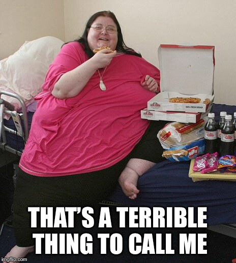 Overweight Pizza Lady | THAT’S A TERRIBLE THING TO CALL ME | image tagged in overweight pizza lady | made w/ Imgflip meme maker