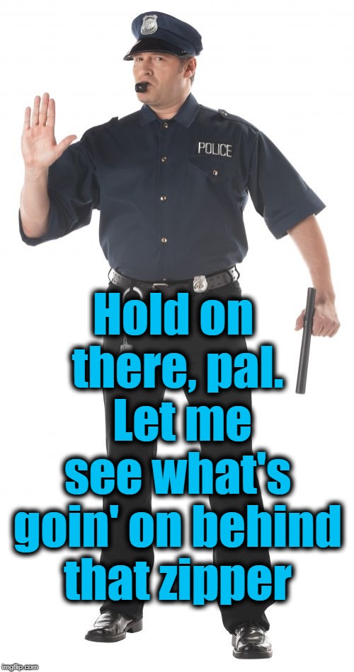 Stop Cop Meme | Hold on there, pal.  Let me see what's goin' on behind that zipper | image tagged in memes,stop cop | made w/ Imgflip meme maker
