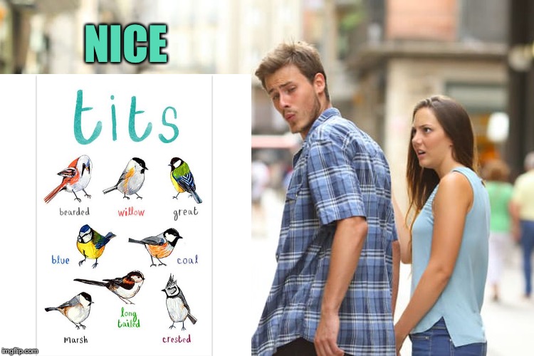 Distracted Boyfriend Meme | NICE | image tagged in memes,distracted boyfriend | made w/ Imgflip meme maker