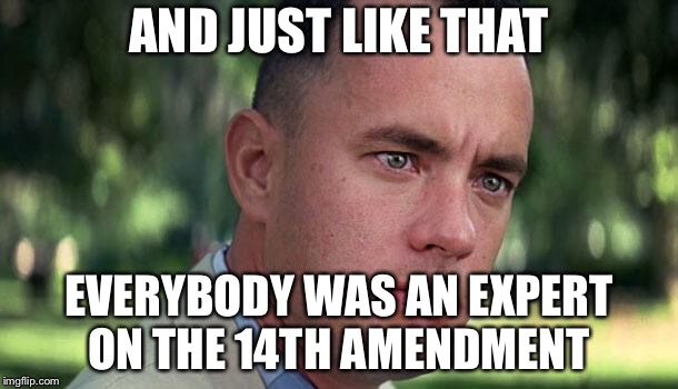 Forest Gump | AND JUST LIKE THAT; EVERYBODY WAS AN EXPERT ON THE 14TH AMENDMENT | image tagged in forest gump | made w/ Imgflip meme maker