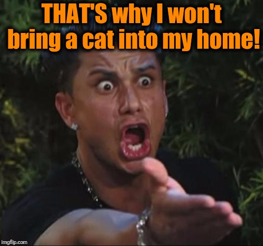 for crying out loud | THAT'S why I won't bring a cat into my home! | image tagged in for crying out loud | made w/ Imgflip meme maker