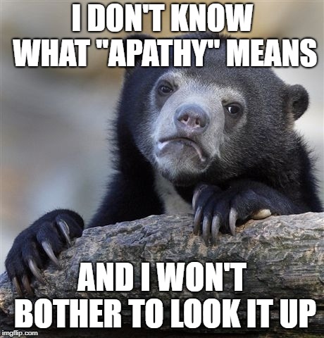 Confession Bear Meme | I DON'T KNOW WHAT "APATHY" MEANS; AND I WON'T BOTHER TO LOOK IT UP | image tagged in memes,confession bear | made w/ Imgflip meme maker