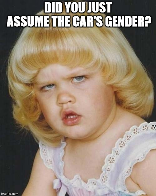 Transgender Baby | DID YOU JUST ASSUME THE CAR'S GENDER? | image tagged in transgender baby | made w/ Imgflip meme maker