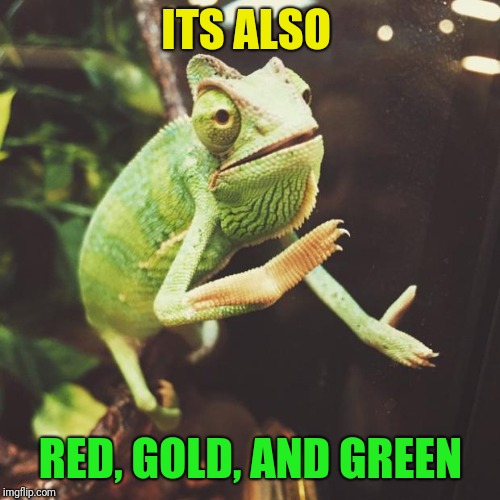 Slow Clap Chameleon  | ITS ALSO RED, GOLD, AND GREEN | image tagged in slow clap chameleon | made w/ Imgflip meme maker