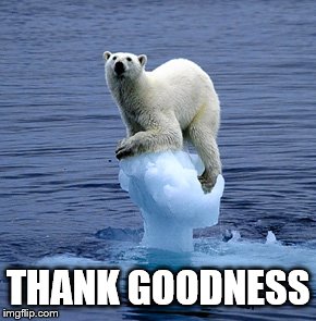 Global Warming Polar Bear | THANK GOODNESS | image tagged in global warming polar bear | made w/ Imgflip meme maker