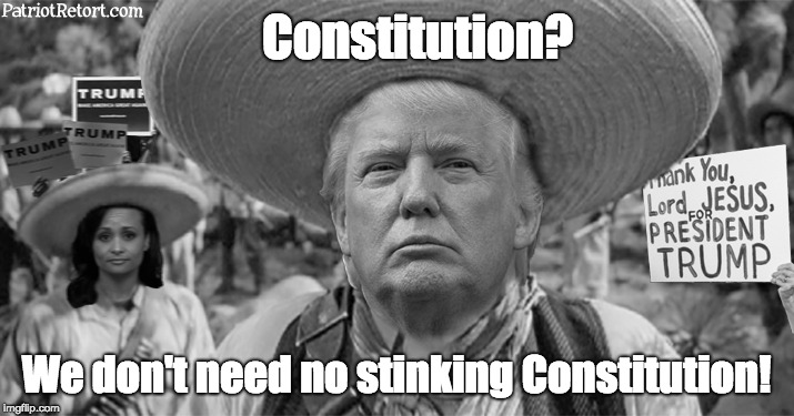 Donald Trump and the 14th Amendment | Constitution? We don't need no stinking Constitution! | image tagged in trump 14th amendment constitution rule of law | made w/ Imgflip meme maker