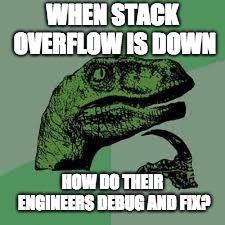 Dinosaur | WHEN STACK OVERFLOW IS DOWN; HOW DO THEIR ENGINEERS DEBUG AND FIX? | image tagged in dinosaur | made w/ Imgflip meme maker