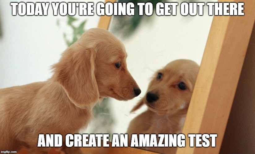 MIRROR doggo | TODAY YOU'RE GOING TO GET OUT THERE; AND CREATE AN AMAZING TEST | image tagged in mirror doggo | made w/ Imgflip meme maker