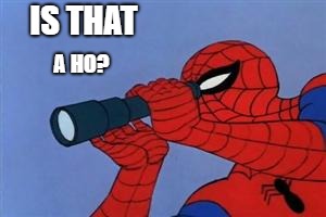 Spiderman binoculars | IS THAT; A HO? | image tagged in spiderman binoculars | made w/ Imgflip meme maker