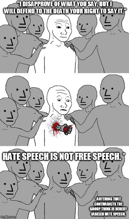 npc wojak conversion | "I DISAPPROVE OF WHAT YOU SAY, BUT I WILL DEFEND TO THE DEATH YOUR RIGHT TO SAY IT." HATE SPEECH IS NOT FREE SPEECH. * * ANYTHING THAT CONTR | image tagged in npc wojak conversion | made w/ Imgflip meme maker