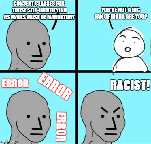 Irony is a social construct of euro-centric Caucasian patriarchs who refuse to assimilate, is not acceptable. | YOU'RE NOT A BIG FAN OF IRONY, ARE YOU? CONSENT CLASSES FOR THOSE SELF-IDENTIFYING AS MALES MUST BE MANDATORY; ERROR; RACIST! ERROR; ERROR | image tagged in npc meme | made w/ Imgflip meme maker