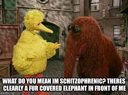 Big Bird And Snuffy Meme | WHAT DO YOU MEAN IM SCHITZOPHRENIC? THERES CLEARLY A FUR COVERED ELEPHANT IN FRONT OF ME | image tagged in memes,big bird and snuffy | made w/ Imgflip meme maker