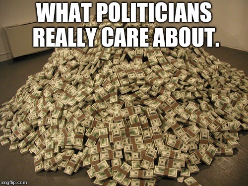 Politicians only care about the money | WHAT POLITICIANS REALLY CARE ABOUT. | image tagged in cash,politicians are scum,vote,politics | made w/ Imgflip meme maker