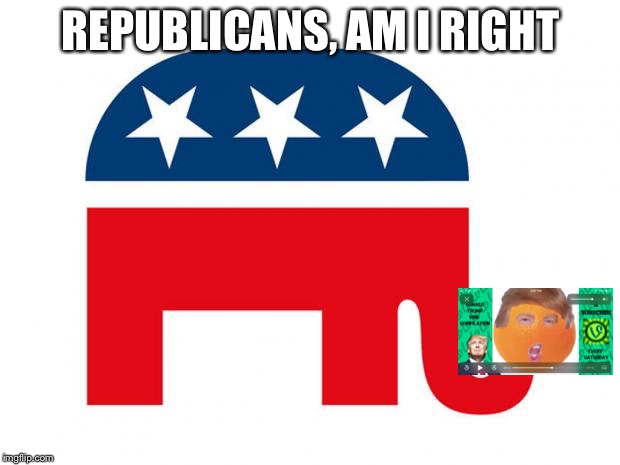 Republican | REPUBLICANS, AM I RIGHT | image tagged in republican | made w/ Imgflip meme maker