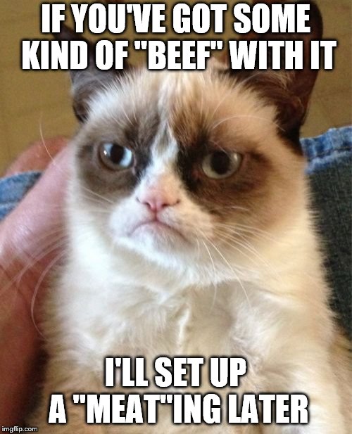 Grumpy Cat Meme | IF YOU'VE GOT SOME KIND OF "BEEF" WITH IT I'LL SET UP A "MEAT"ING LATER | image tagged in memes,grumpy cat | made w/ Imgflip meme maker