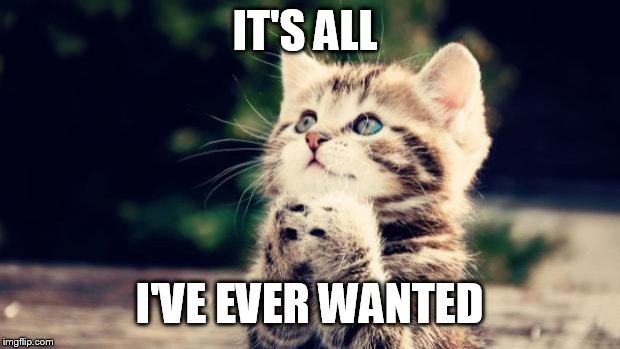 Cute kitten | IT'S ALL I'VE EVER WANTED | image tagged in cute kitten | made w/ Imgflip meme maker