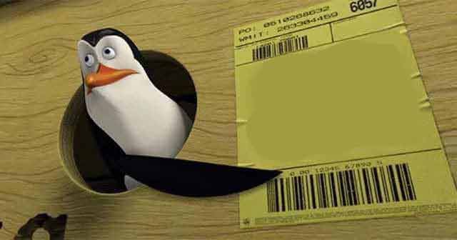 Penguin pointing at sign Blank Meme Template