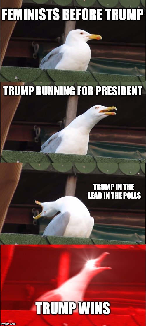 Inhaling Seagull | FEMINISTS BEFORE TRUMP; TRUMP RUNNING FOR PRESIDENT; TRUMP IN THE LEAD IN THE POLLS; TRUMP WINS | image tagged in memes,inhaling seagull | made w/ Imgflip meme maker