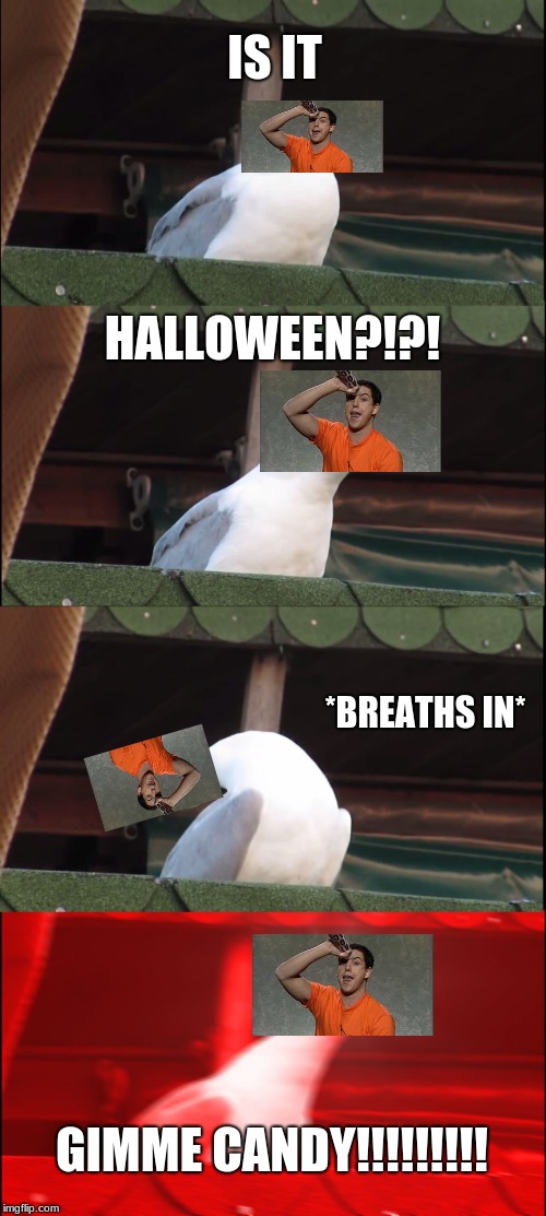 Adam Sandler wants candy | IS IT; HALLOWEEN?!?! *BREATHS IN*; GIMME CANDY!!!!!!!!! | image tagged in memes,inhaling seagull | made w/ Imgflip meme maker