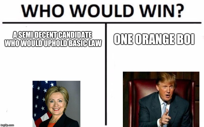 Who Would Win? | A SEMI DECENT CANDIDATE WHO WOULD UPHOLD BASIC LAW; ONE ORANGE BOI | image tagged in memes,who would win | made w/ Imgflip meme maker