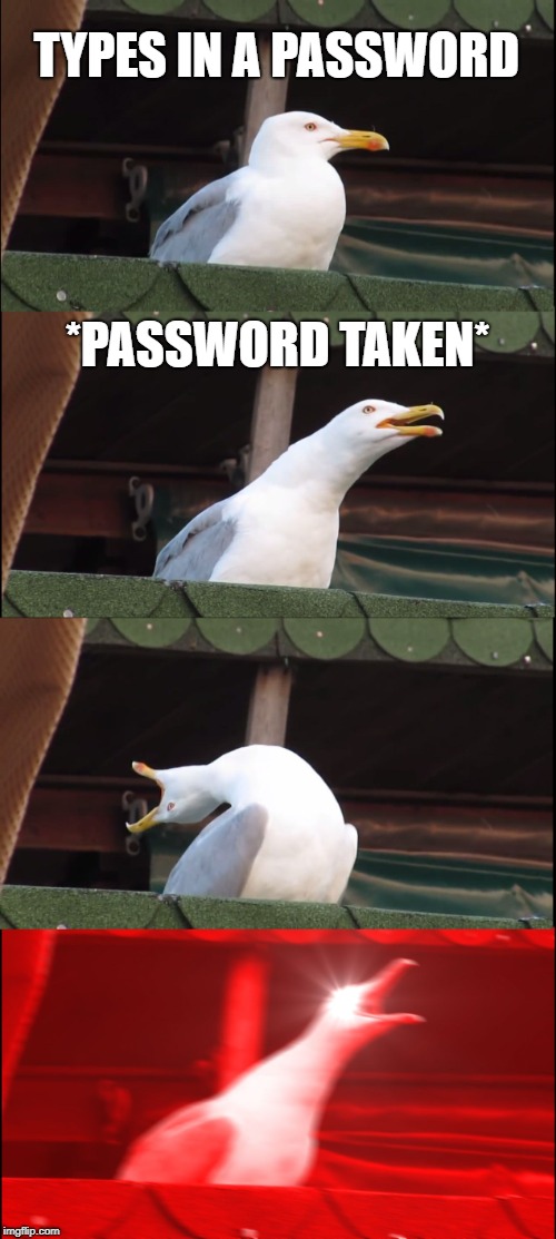 Inhaling Seagull | TYPES IN A PASSWORD; *PASSWORD TAKEN* | image tagged in memes,inhaling seagull | made w/ Imgflip meme maker