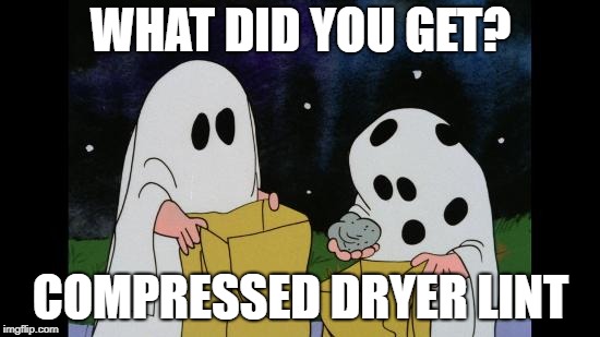 Charlie Brown Halloween Rock | WHAT DID YOU GET? COMPRESSED DRYER LINT | image tagged in charlie brown halloween rock | made w/ Imgflip meme maker
