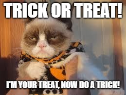 How does this work? | TRICK OR TREAT! I'M YOUR TREAT, NOW DO A TRICK! | image tagged in memes,grumpy cat halloween,grumpy cat,halloween,trick or treat | made w/ Imgflip meme maker
