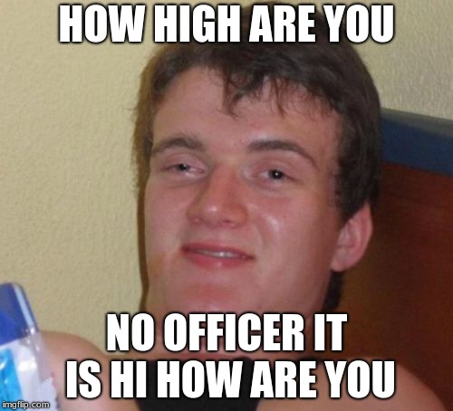 10 Guy Meme | HOW HIGH ARE YOU; NO OFFICER IT IS HI HOW ARE YOU | image tagged in memes,10 guy | made w/ Imgflip meme maker