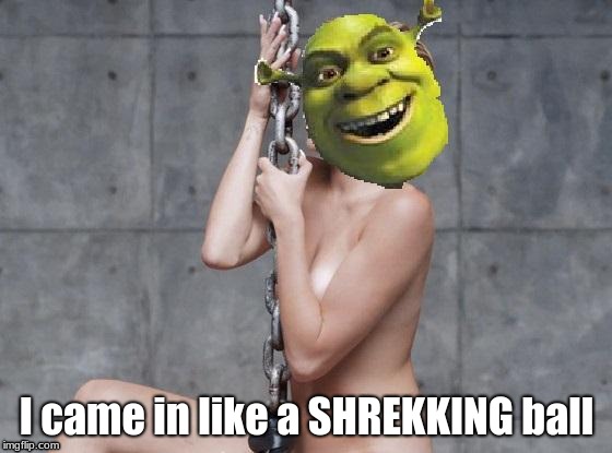 Miley Cyrus Shrek | I came in like a SHREKKING ball | image tagged in miley cyrus shrek | made w/ Imgflip meme maker