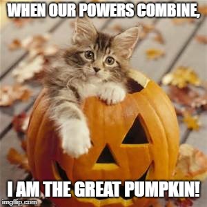 Linus only needed a cat! | WHEN OUR POWERS COMBINE, I AM THE GREAT PUMPKIN! | image tagged in halloween cat,great pumpkin,halloween | made w/ Imgflip meme maker