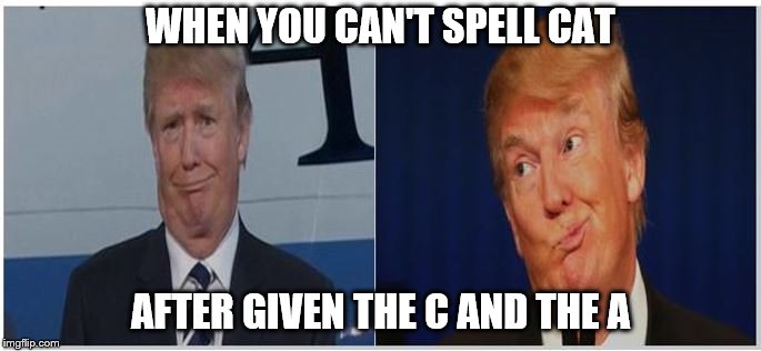 Spelling cat  | WHEN YOU CAN'T SPELL CAT; AFTER GIVEN THE C AND THE A | image tagged in grumpy cat,cat,spelling,trump,alphabet,winner | made w/ Imgflip meme maker