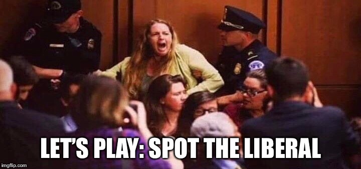 another Knob in search of her Mob | LET’S PLAY: SPOT THE LIBERAL | image tagged in libtards,angry mob | made w/ Imgflip meme maker