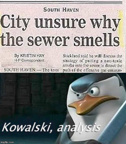 Kowalski Analysis Meme Imgflip