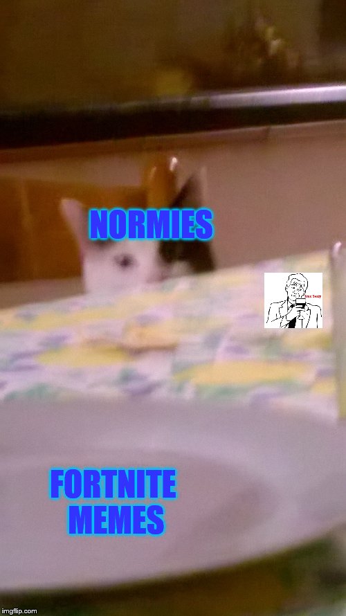 The true | NORMIES; FORTNITE MEMES | image tagged in what's that,cat,true,normie,oh wow are you actually reading these tags,meme | made w/ Imgflip meme maker