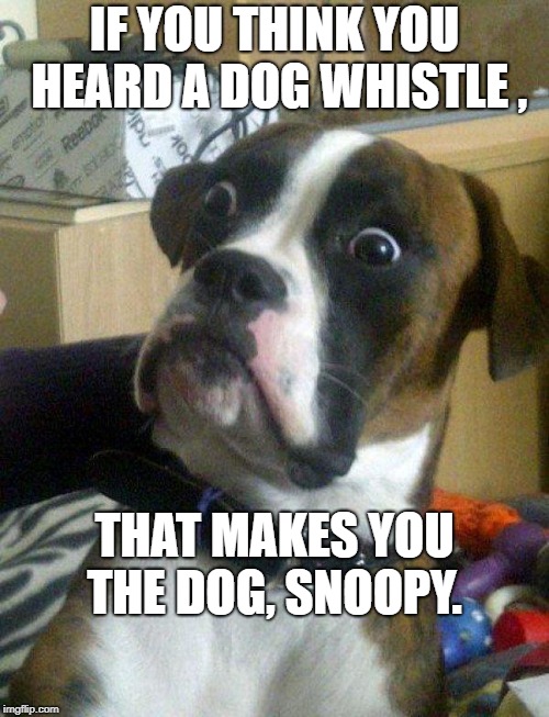 Blankie the Shocked Dog | IF YOU THINK YOU HEARD A DOG WHISTLE , THAT MAKES YOU THE DOG, SNOOPY. | image tagged in blankie the shocked dog | made w/ Imgflip meme maker