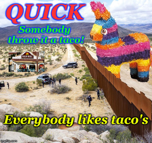 QUICK; Somebody throw it a taco! Everybody likes taco's | image tagged in border | made w/ Imgflip meme maker
