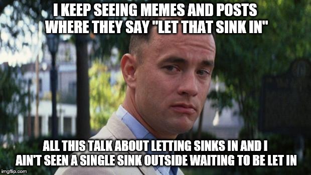 Forrest Gump | I KEEP SEEING MEMES AND POSTS WHERE THEY SAY "LET THAT SINK IN"; ALL THIS TALK ABOUT LETTING SINKS IN AND I AIN'T SEEN A SINGLE SINK OUTSIDE WAITING TO BE LET IN | image tagged in forrest gump,sink | made w/ Imgflip meme maker
