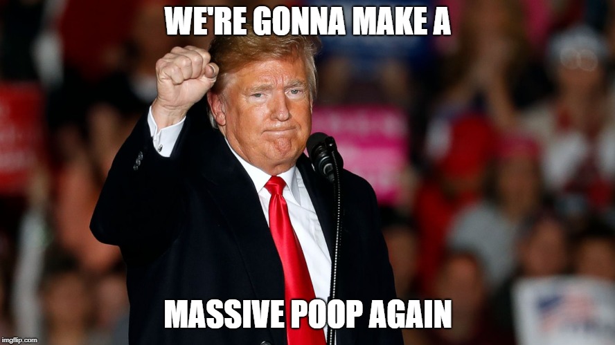 WE'RE GONNA MAKE A; MASSIVE POOP AGAIN | image tagged in donald trump | made w/ Imgflip meme maker