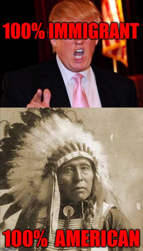Donald Trump and Native American | 100% IMMIGRANT; 100%  AMERICAN | image tagged in donald trump and native american | made w/ Imgflip meme maker
