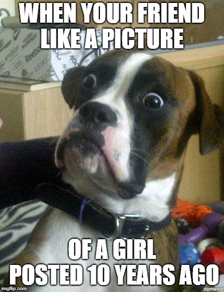 Funny Dog | WHEN YOUR FRIEND LIKE A PICTURE; OF A GIRL POSTED 10 YEARS AGO | image tagged in funny dog | made w/ Imgflip meme maker