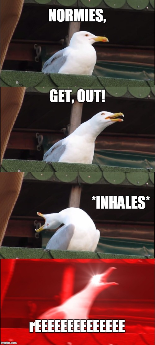 Inhaling Seagull | NORMIES, GET, OUT! *INHALES*; rEEEEEEEEEEEEEE | image tagged in memes,inhaling seagull,funny,normies get out,reee | made w/ Imgflip meme maker
