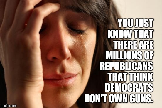 Some People Still Believe Everything Fox Entertainment "News" Tells Them.  Question ALL "News".  They ALL Lie!!! | YOU JUST KNOW THAT THERE ARE MILLIONS OF; REPUBLICANS THAT THINK DEMOCRATS DON'T OWN GUNS. | image tagged in memes,first world problems,fake news,democrats,republicans,meme | made w/ Imgflip meme maker