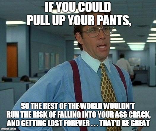 If you want to have a slovenly appearance when you're at home, that's up to you. But in public, that's a whole other story. | IF YOU COULD PULL UP YOUR PANTS, SO THE REST OF THE WORLD WOULDN'T RUN THE RISK OF FALLING INTO YOUR ASS CRACK, AND GETTING LOST FOREVER . . . THAT'D BE GREAT | image tagged in memes,that would be great,beware,expectation vs reality,fashion,courage | made w/ Imgflip meme maker