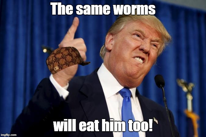 Mad Stump | The same worms; will eat him too! | image tagged in stroke,heart attack,bullet | made w/ Imgflip meme maker