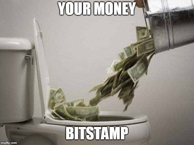 money down toilet | YOUR MONEY; BITSTAMP | image tagged in money down toilet | made w/ Imgflip meme maker
