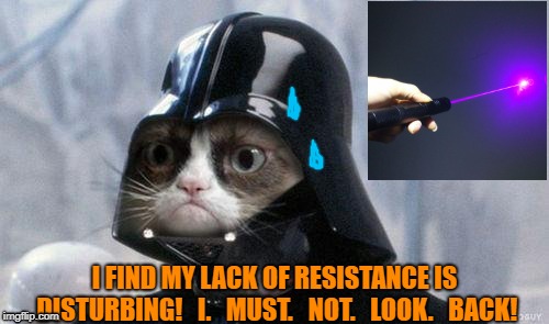 Grumpy Cat Star Wars Meme | I FIND MY LACK OF RESISTANCE IS DISTURBING!   I.   MUST.   NOT.   LOOK.   BACK! | image tagged in memes,grumpy cat star wars,grumpy cat | made w/ Imgflip meme maker